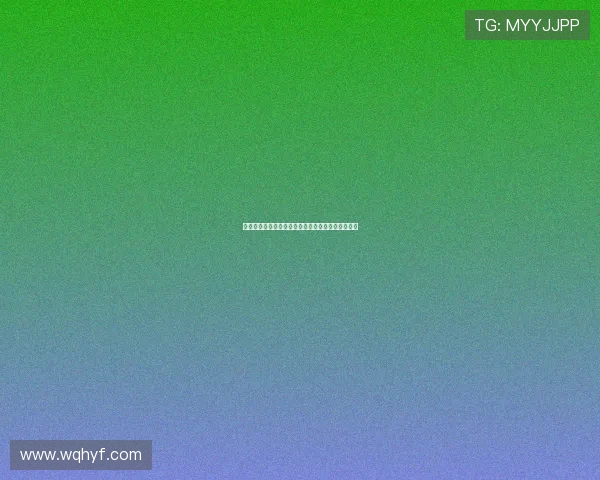 飞速极官网全面升级体验引领高速服务新时代新风潮